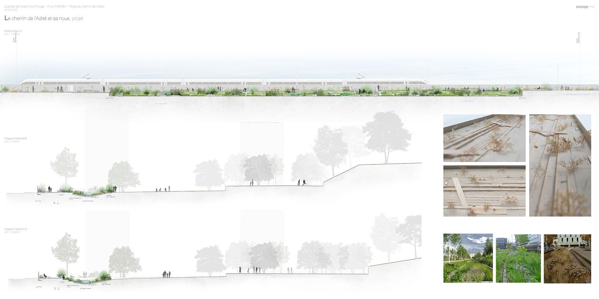 Echo-espace public-aménagement-jardin linéaire-axe mobilité-noue paysagère-jardin linéaire-axe de mobilité