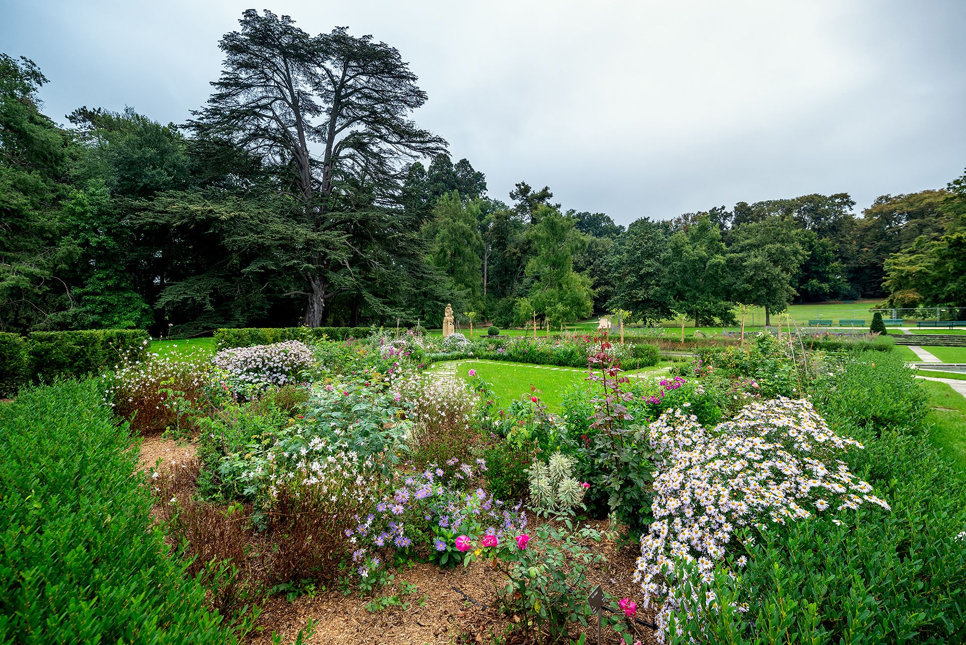 massif-vivaces-floraison-roseraie-jardin-parc-La-Grange-Genève-aménagement-espace-public