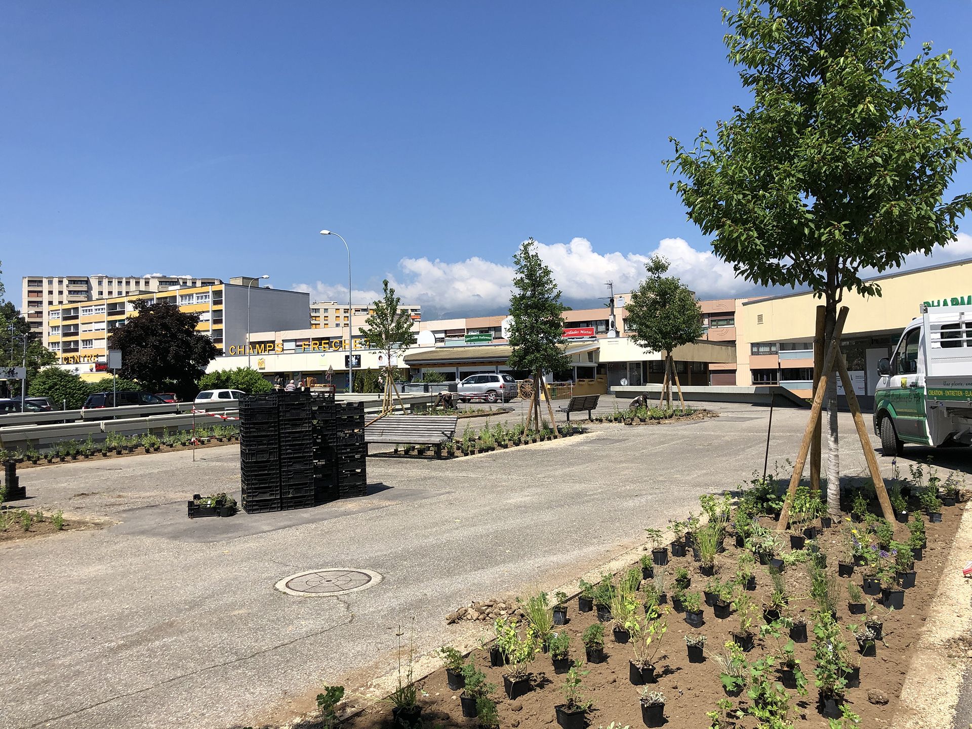 Echo-logement-CHAMPS-FRÉCHETS-Meyrin-esplanade-espace public-plantation-mail d'arbres-massif vivace-sol perméable