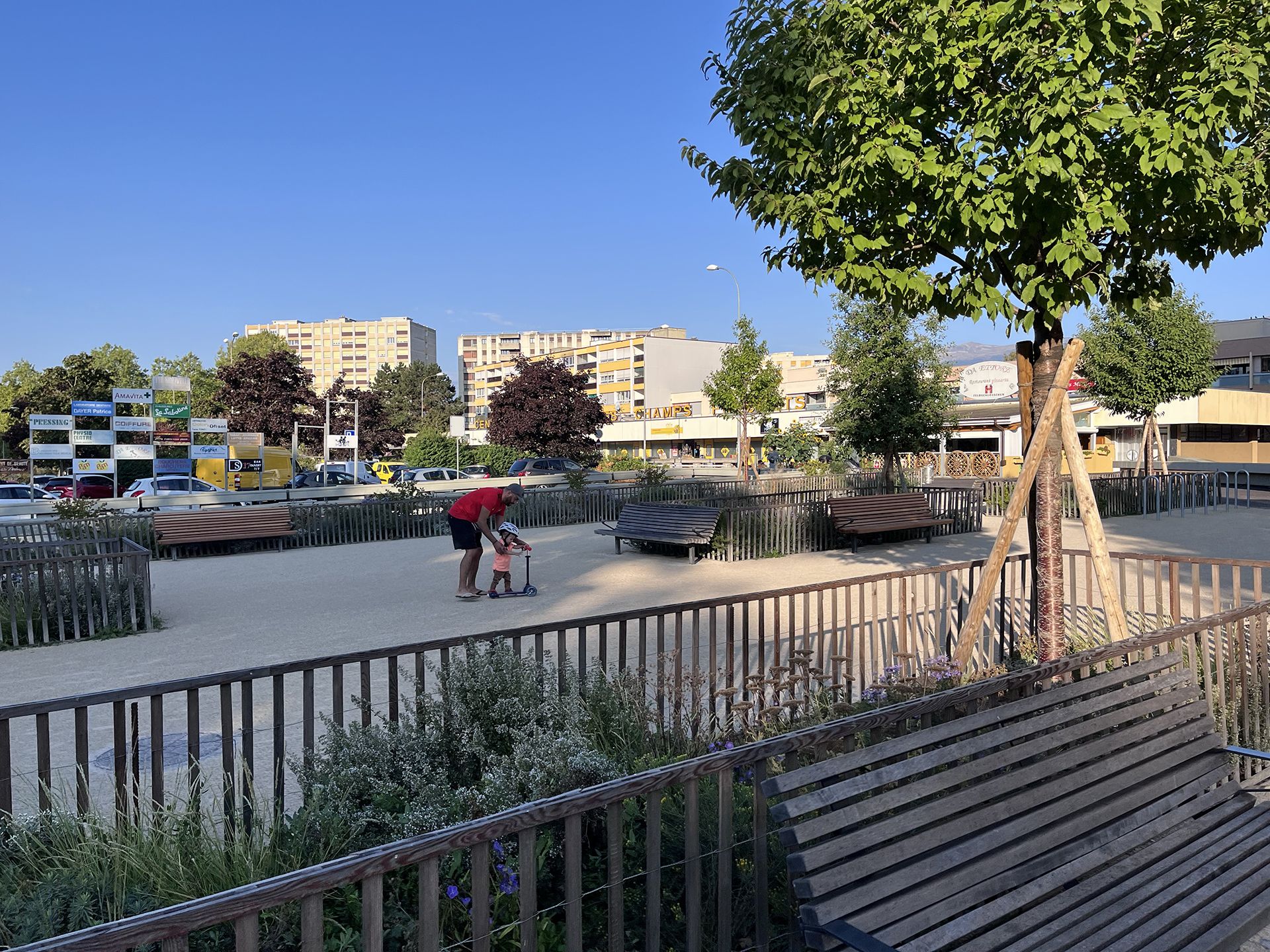 Echo-logement-CHAMPS-FRÉCHETS-Meyrin-esplanade-espace public-plantation-mail d'arbres-massif vivace-sol perméable