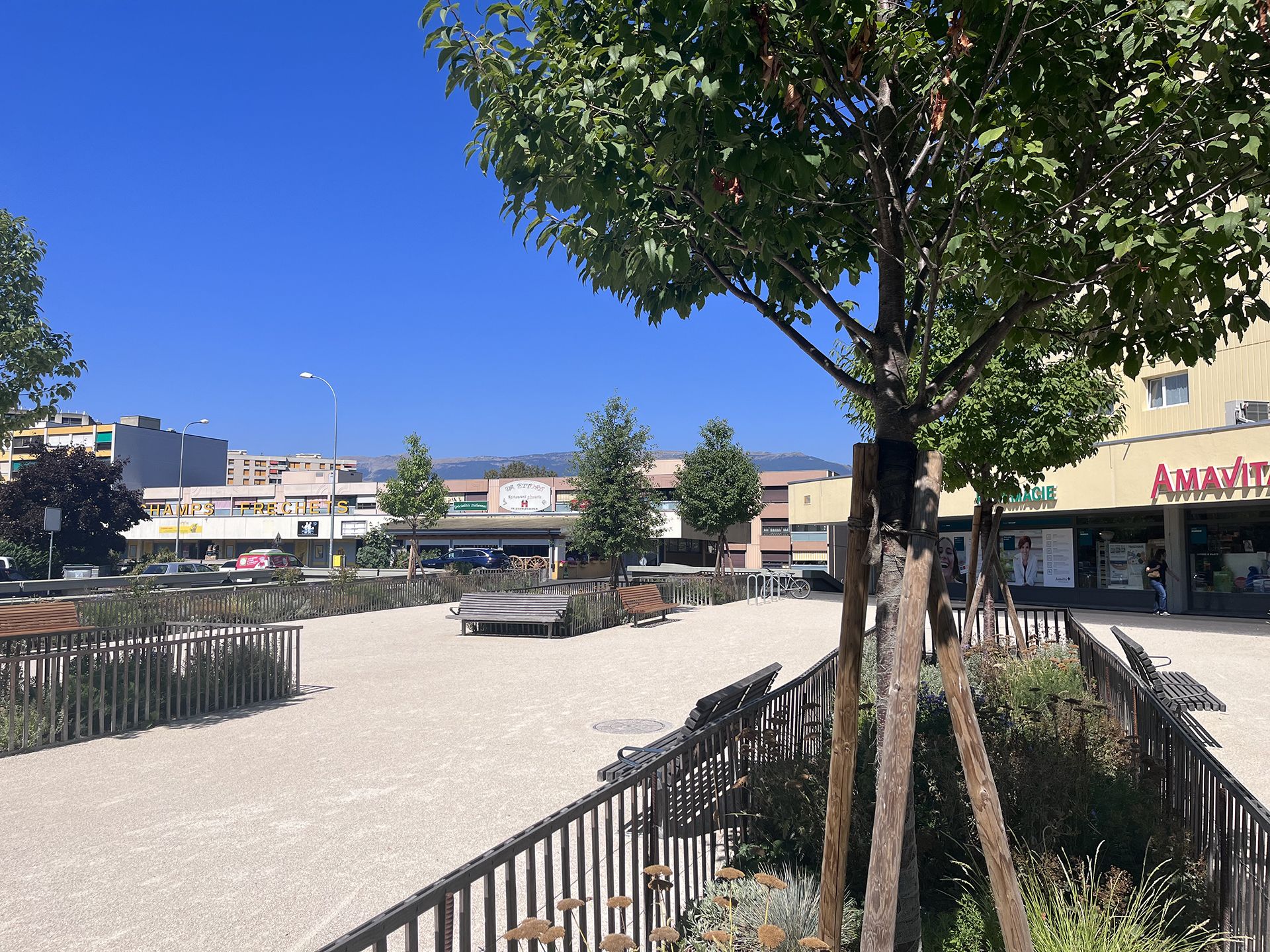Echo-logement-CHAMPS-FRÉCHETS-Meyrin-esplanade-espace public-plantation-mail d'arbres-massif vivace-sol perméable