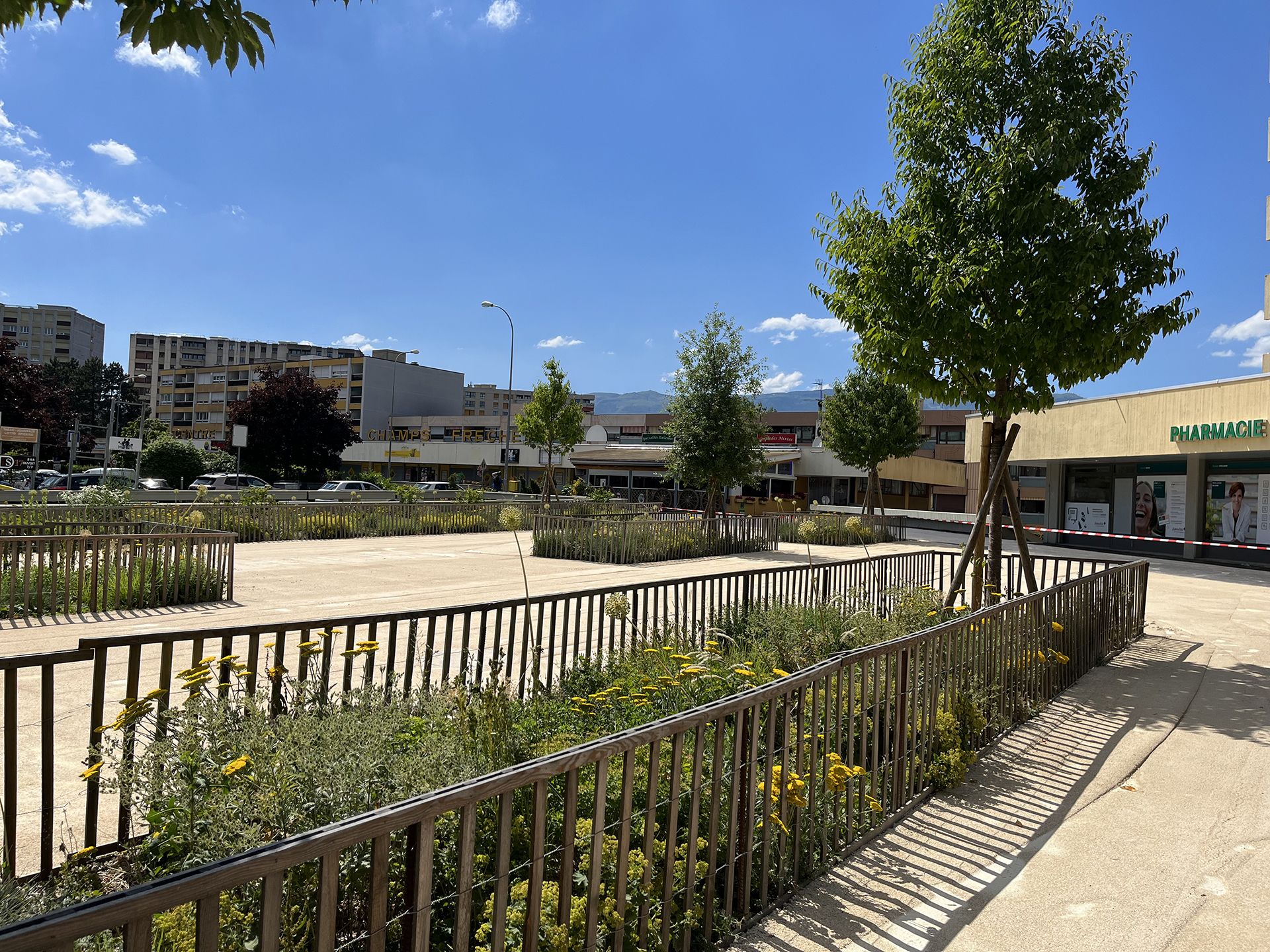 Echo-logement-CHAMPS-FRÉCHETS-Meyrin-esplanade-espace public-plantation-mail d'arbres-massif vivace-sol perméable