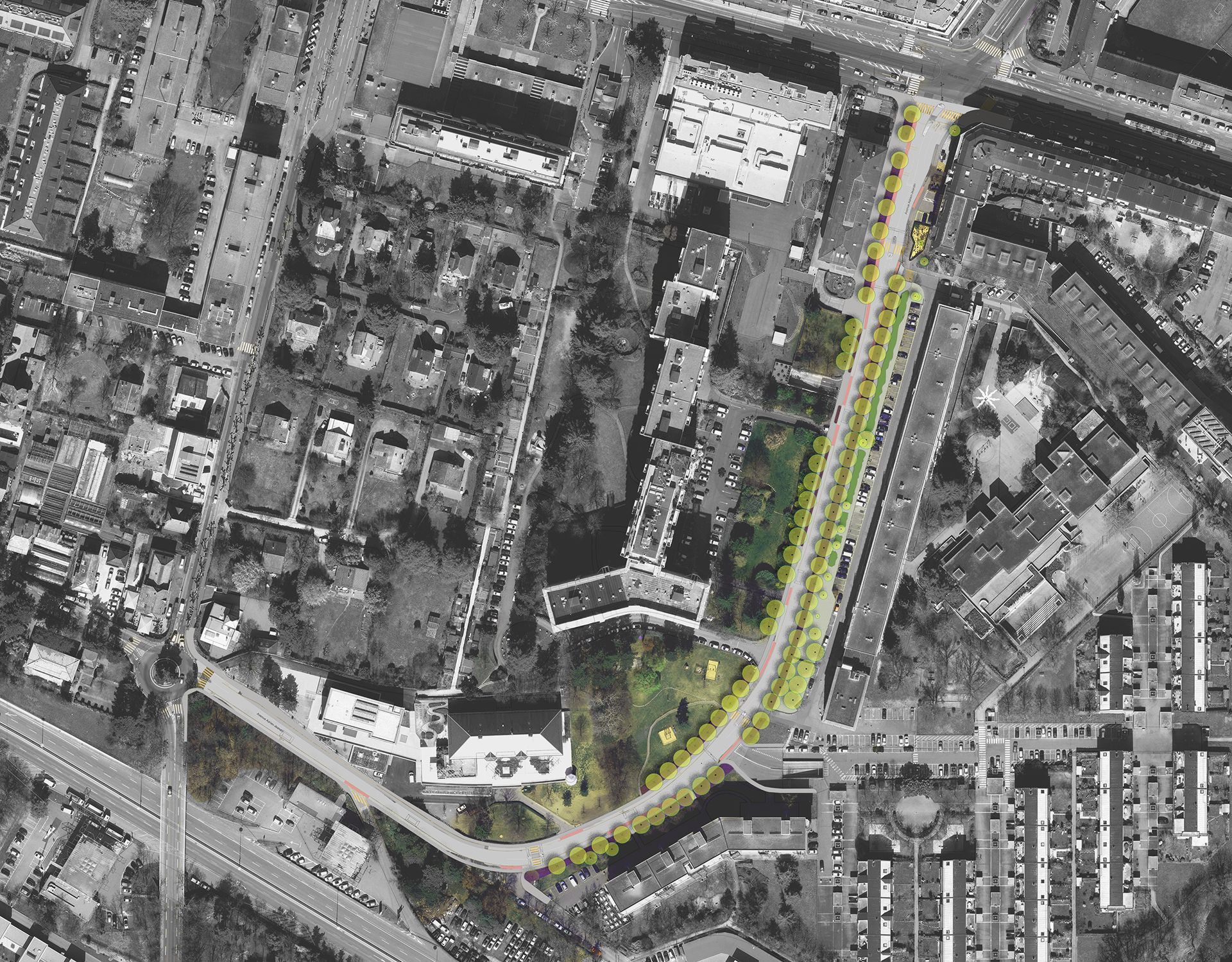 Paysage-réaménagement-espace-public-avenue-rue-mobilité-trafic-piste-cyclable-trottoir-allée-végétation-arbre-alignement-canopée-massif-plantation-annuelle-vivace-floraison-plan