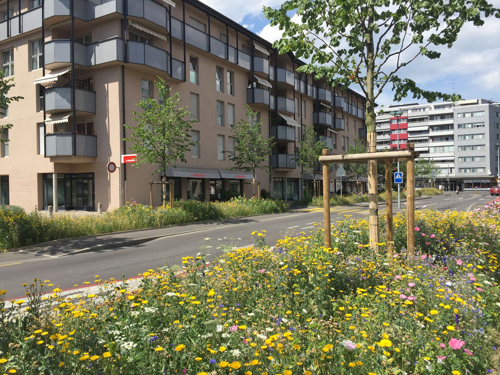 Paysage-réaménagement-espace-public-avenue-rue-mobilité-trafic-piste-cyclable-trottoir-allée-végétation-arbre-alignement-canopée-massif-plantation-annuelle-vivace-floraison