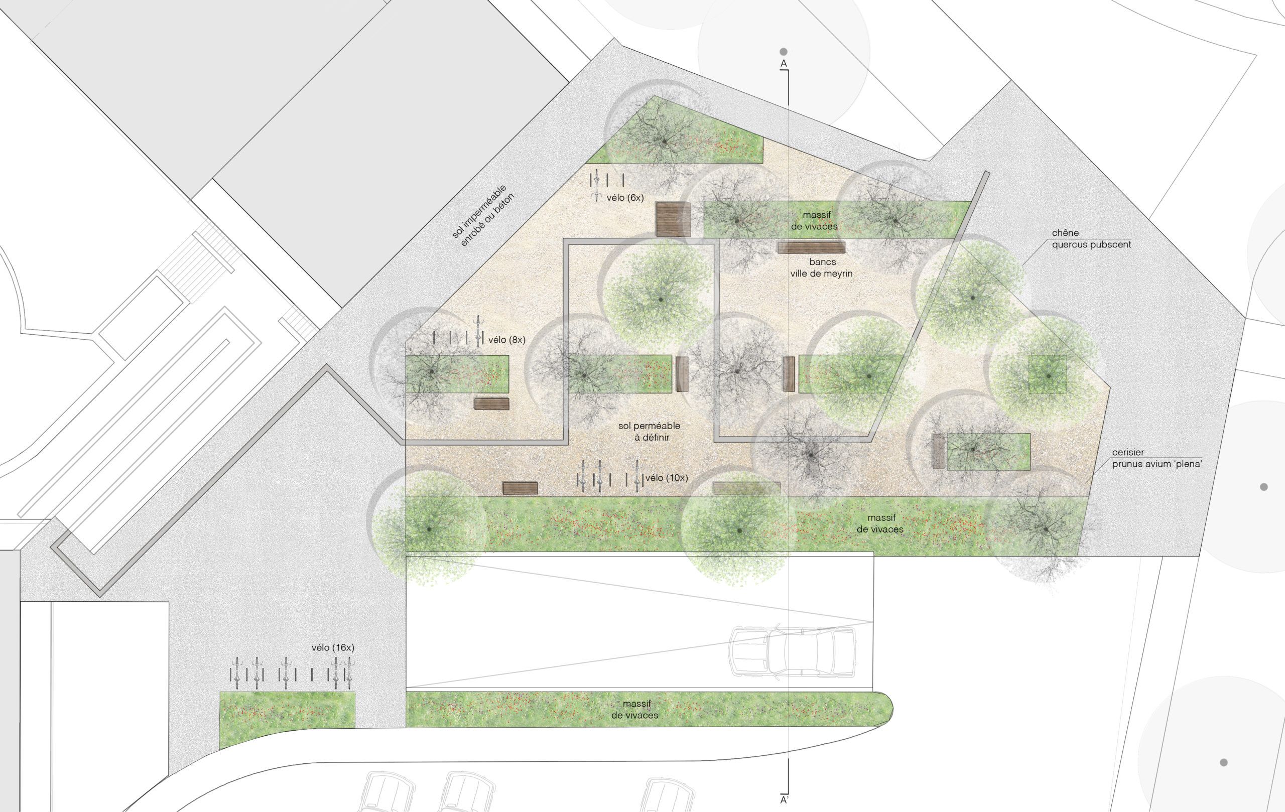 Echo-logement-CHAMPS-FRÉCHETS-Meyrin-esplanade-espace public-plantation-mail d'arbres-massif vivace-sol perméable