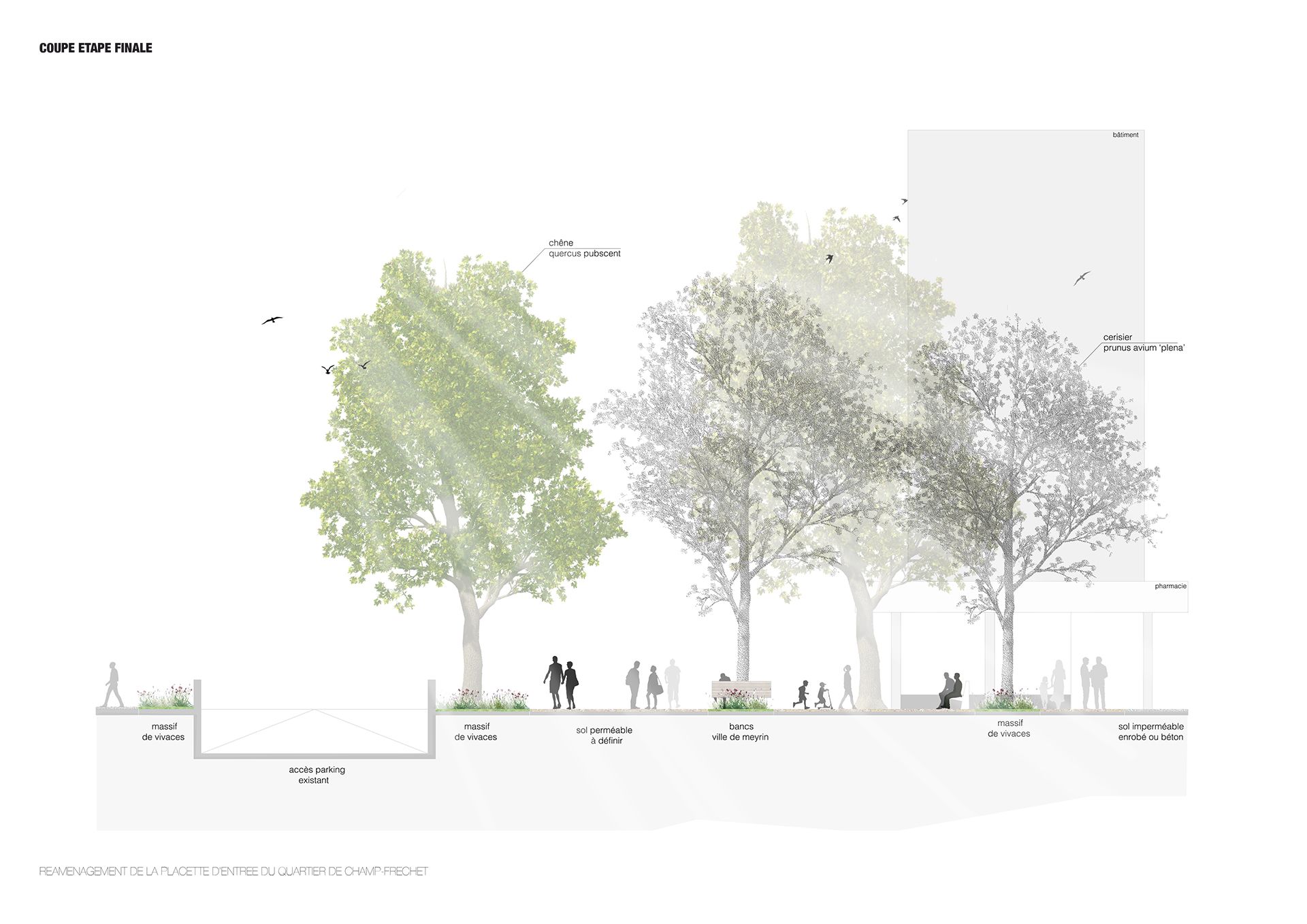 Echo-logement-CHAMPS-FRÉCHETS-Meyrin-esplanade-espace public-plantation-mail d'arbres-massif vivace-sol perméable