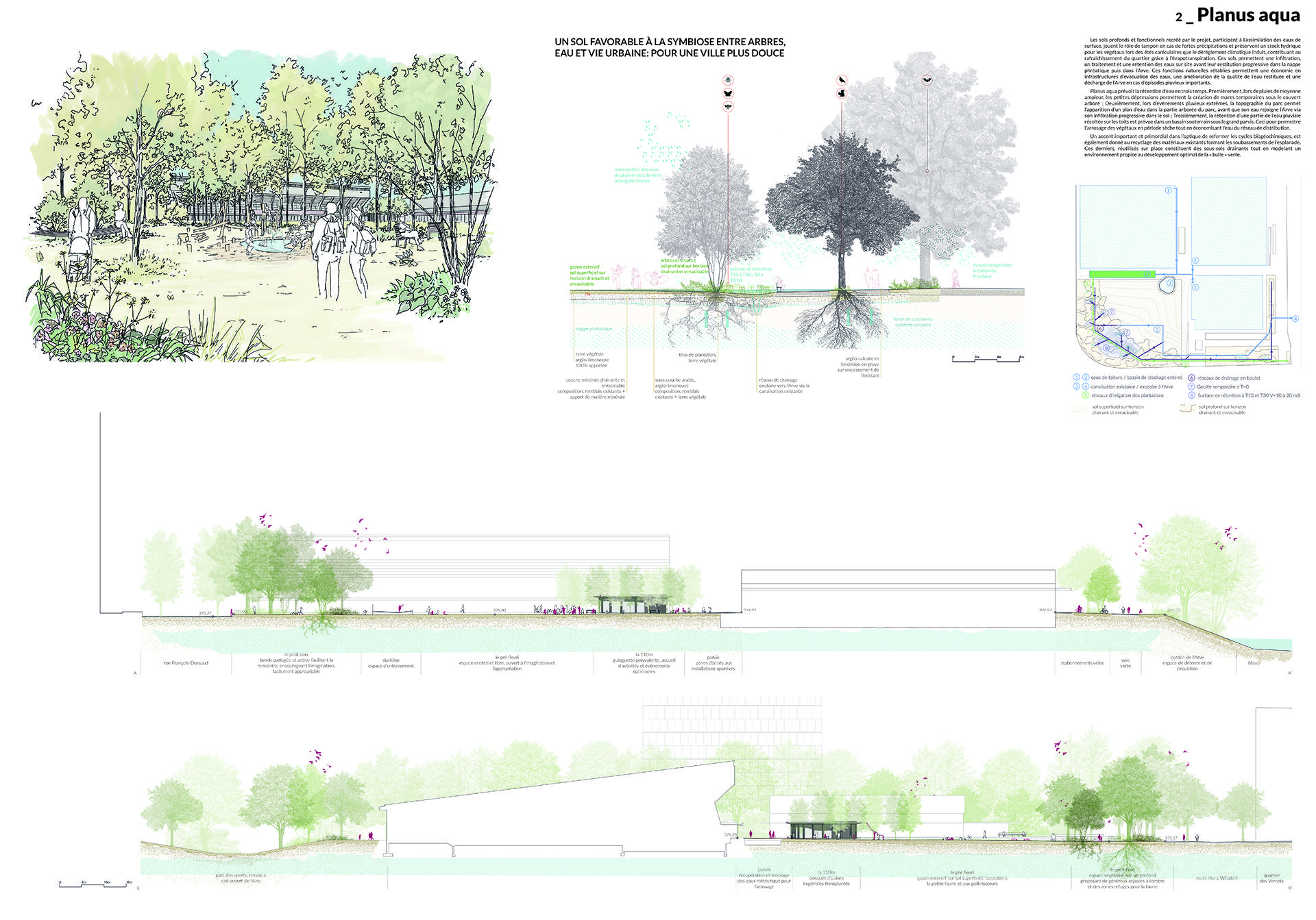 Echo-concours-esplanade des Vernets-îlot de fraîcheur-petit bois-jeux d'eau-pelouse-ouverture-ginguette