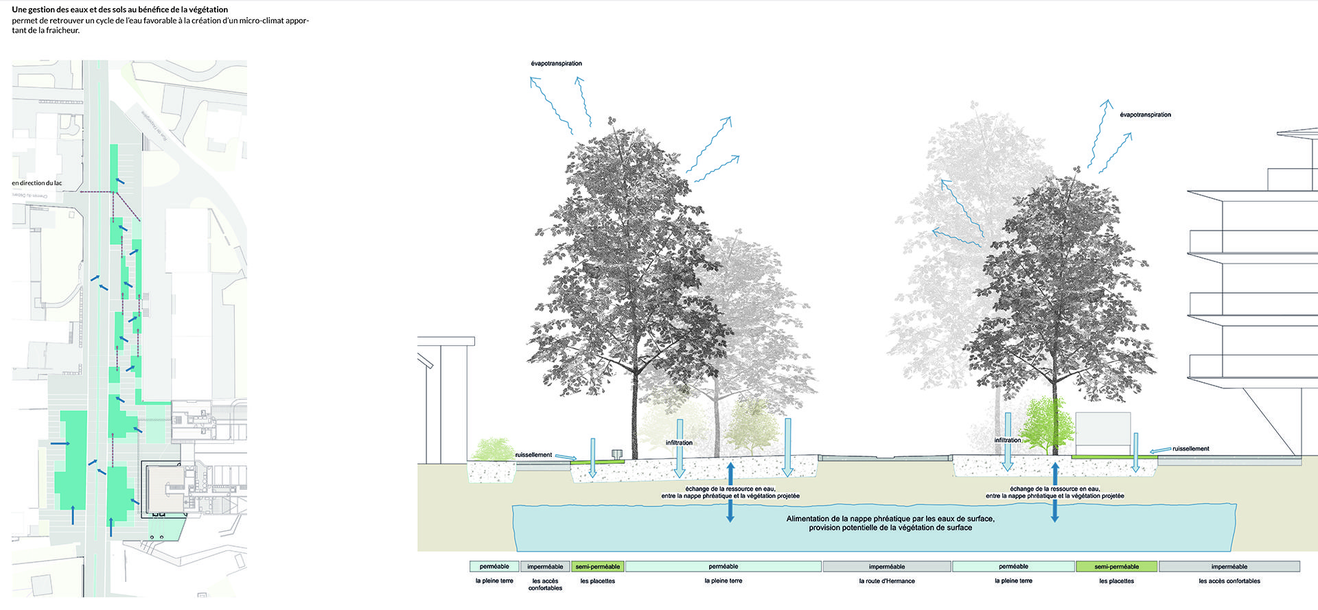 paysage-espace public-place de village-gestion des eaux-perméabilité-coupe