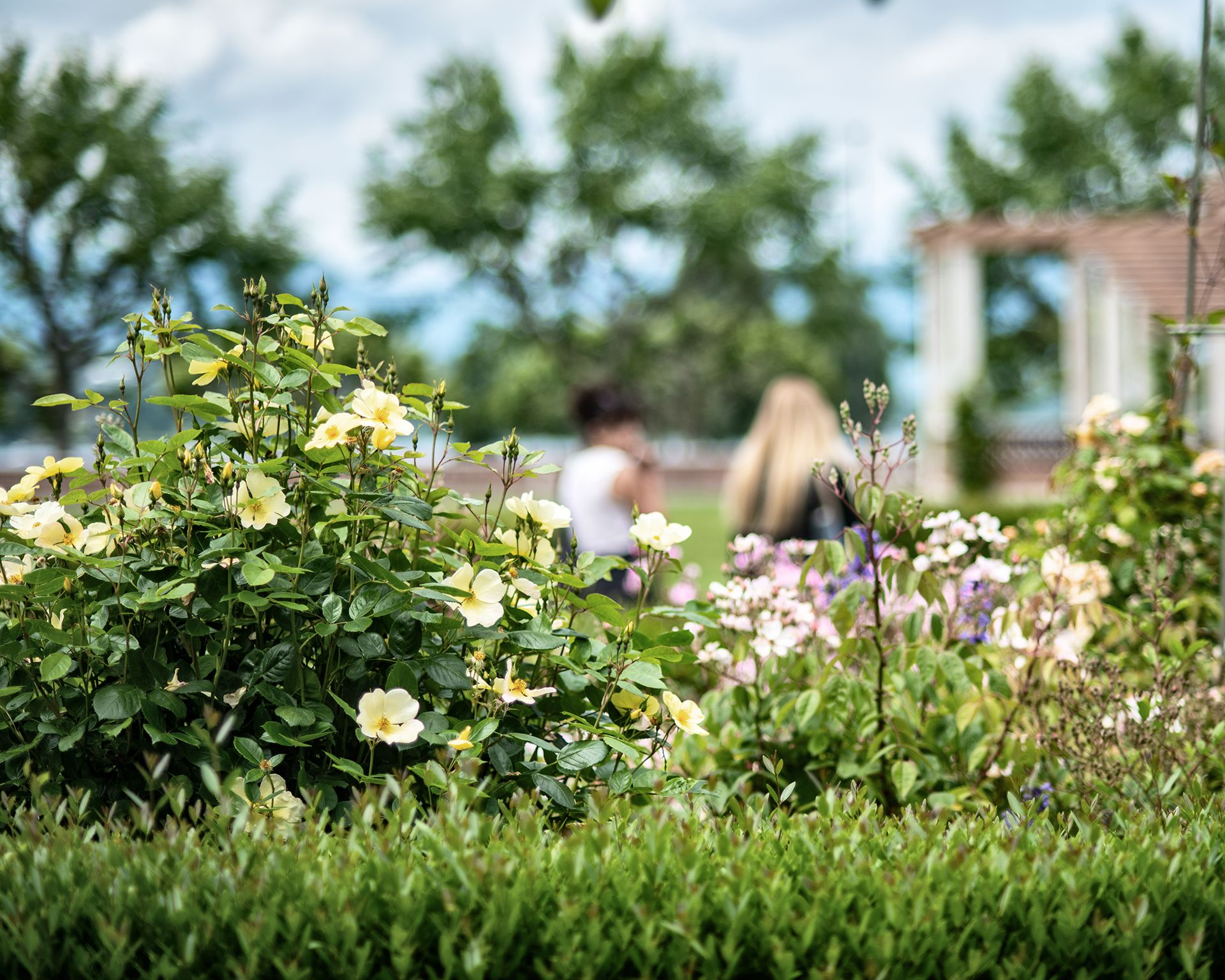 Echo_paysage_aménagement jardin historique_parc public_par La Grange_arbres ornementaux_haies_vivaces_mobilier_usagers_rosier
