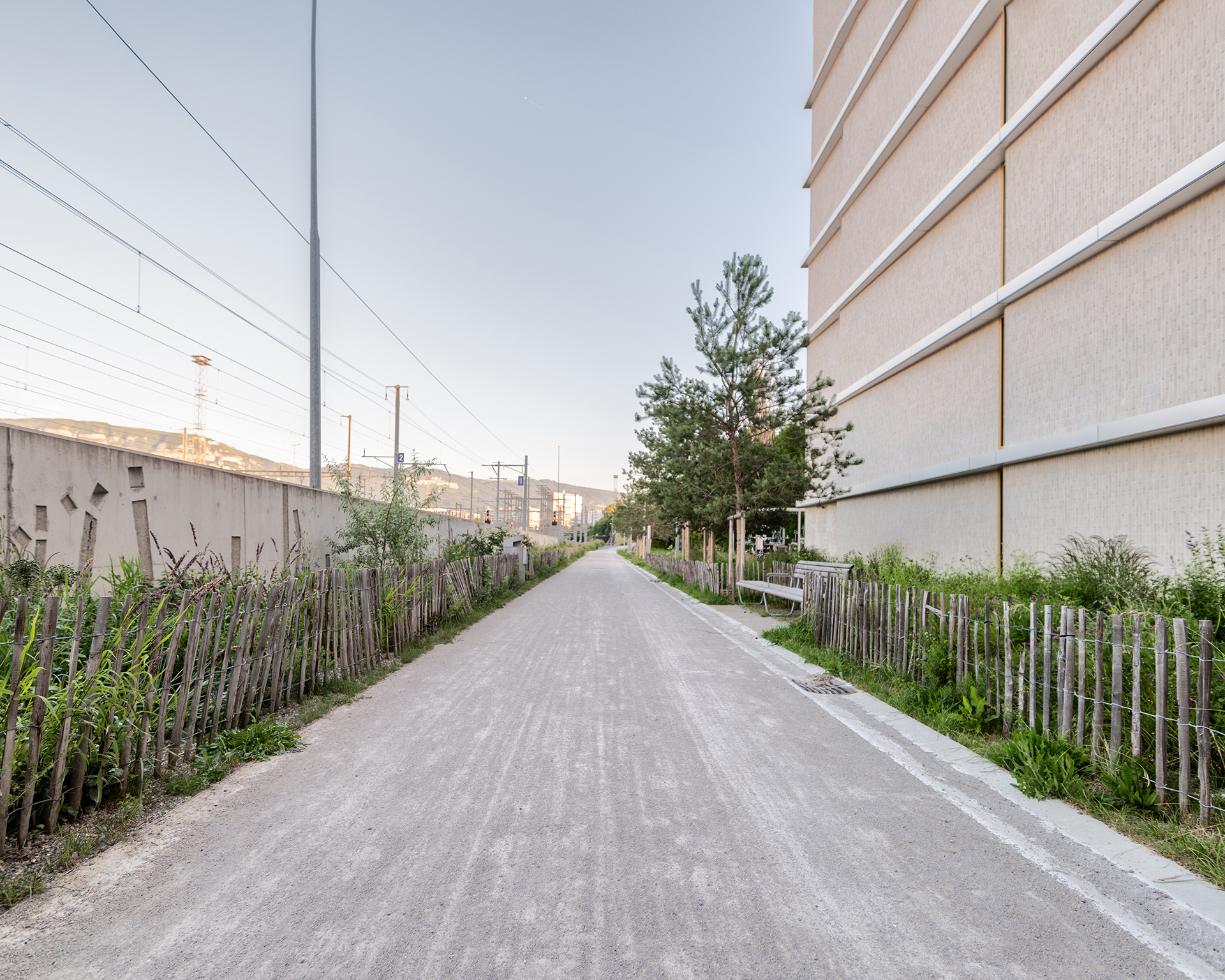 Echo-espace public-aménagement-jardin linéaire-axe mobilité-noue paysagère-jardin linéaire-axe de mobilité