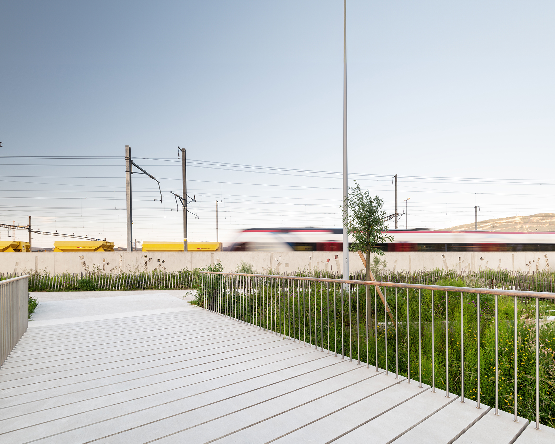 Echo-espace public-aménagement-jardin linéaire-axe mobilité-noue paysagère-jardin linéaire-axe de mobilité