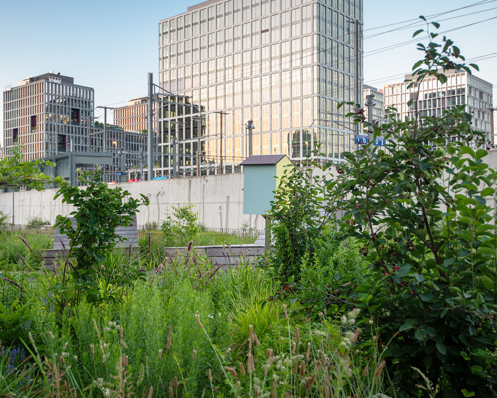 Echo-espace public-aménagement-jardin linéaire-axe mobilité-noue paysagère-jardin linéaire-axe de mobilité