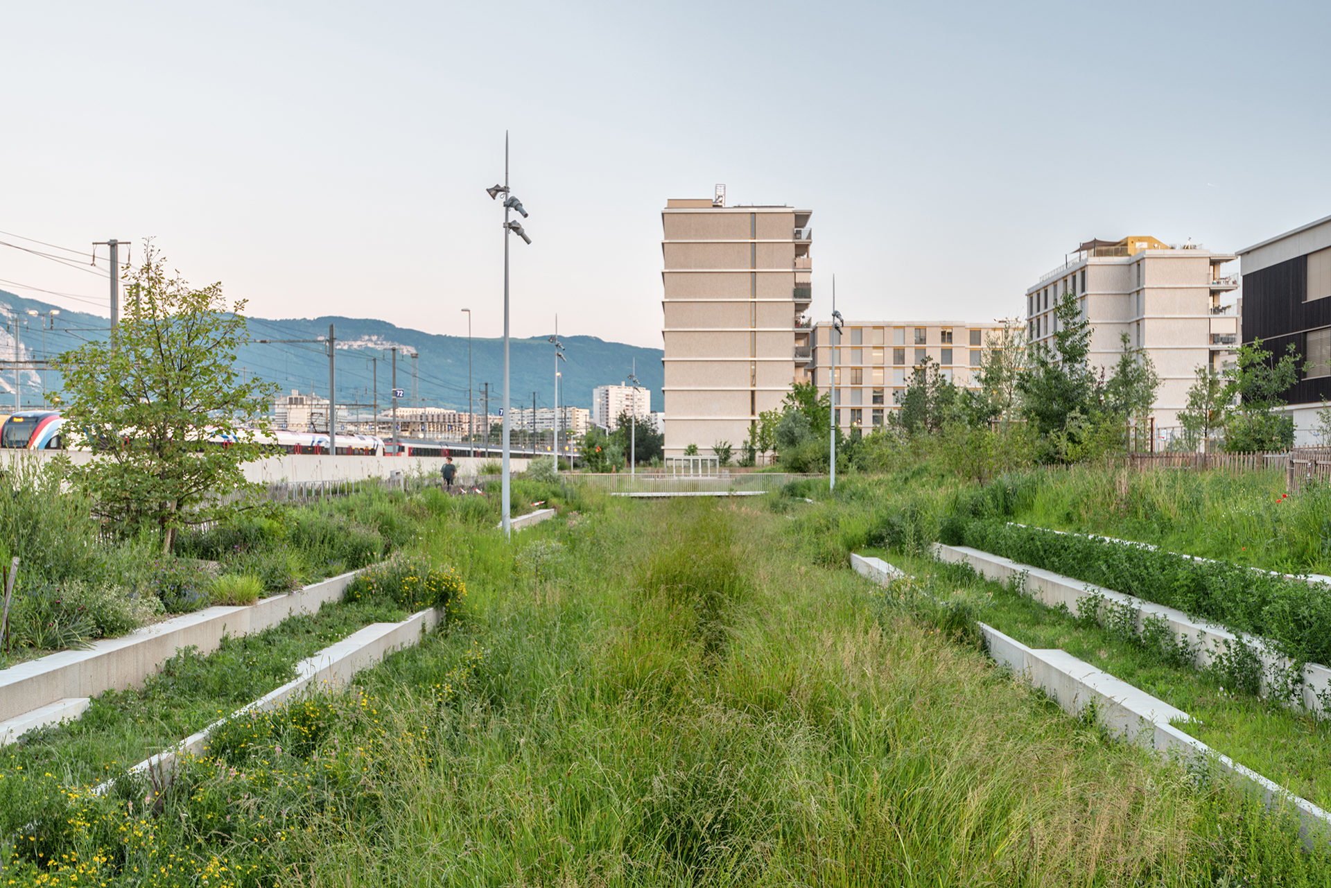 Echo-espace public-aménagement-jardin linéaire-axe mobilité-noue paysagère-jardin linéaire-axe de mobilité