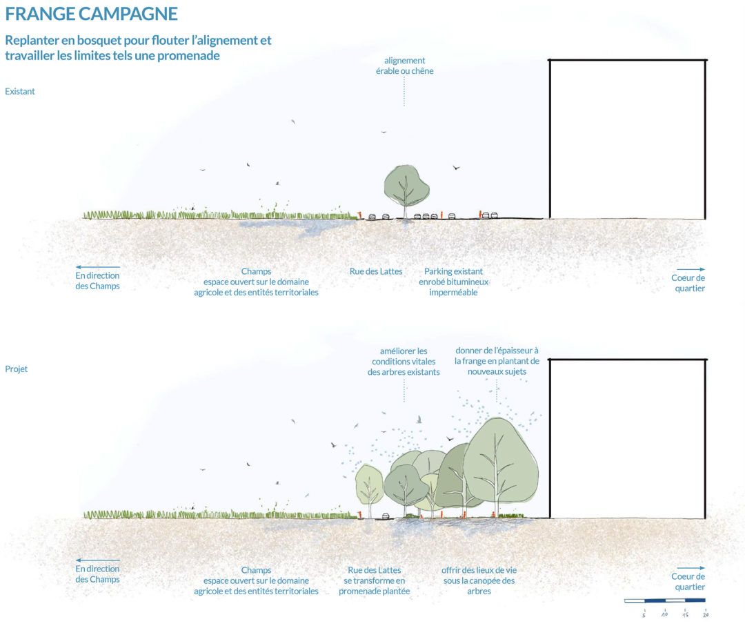 1. Le jardin du Prieuré lauréat du prix régional du paysage